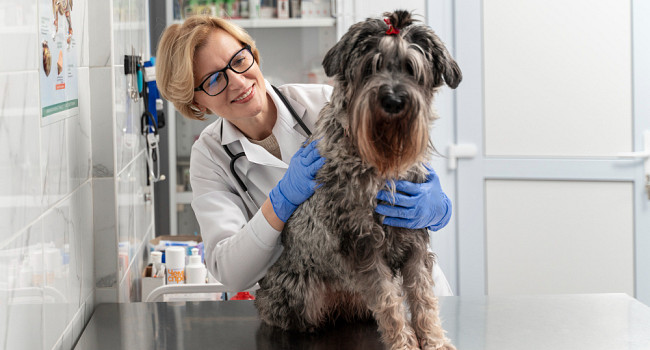 Прием диетолога с составлением рациона Санкт-Петербург - изображение 3