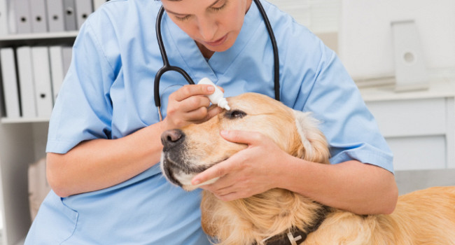 Ультрозвуковая чистка зубов Санкт-Петербург - изображение 3