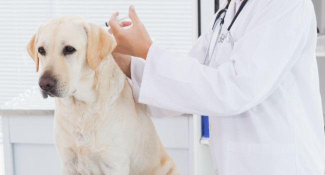 Ультрозвуковая чистка зубов Санкт-Петербург - изображение 2