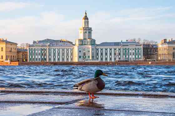 Хостел Форвикс Санкт-Петербург