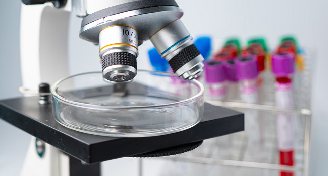 Генетические исследования Санкт-Петербург - изображение 1