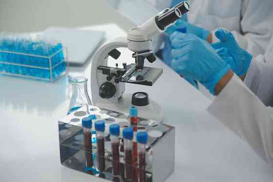 Иммунологическое обследование (расширенное) Санкт-Петербург