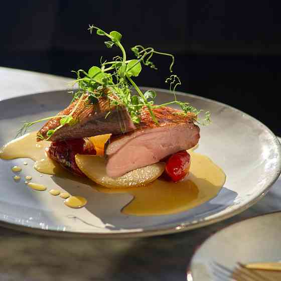 Меню смешанной кухни в ресторане "Трикатель" Санкт-Петербург