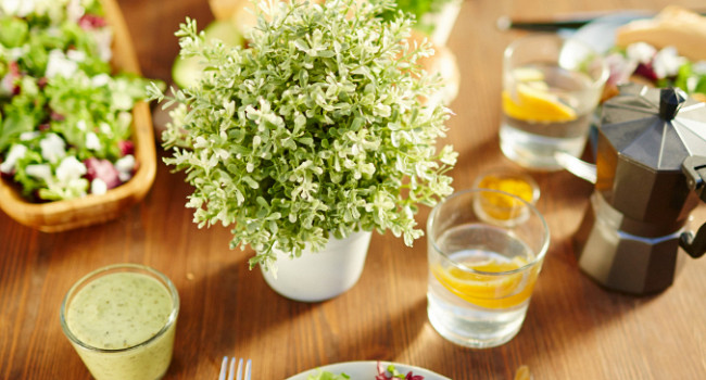 Столовая "Морошка" Санкт-Петербург - изображение 2