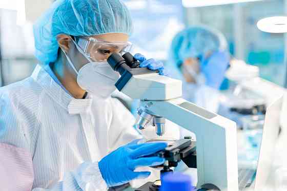 Аллергопробы Санкт-Петербург