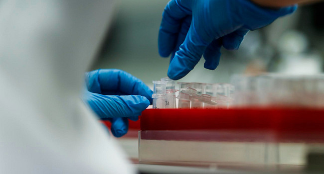 Программа ЭКО Санкт-Петербург - изображение 2