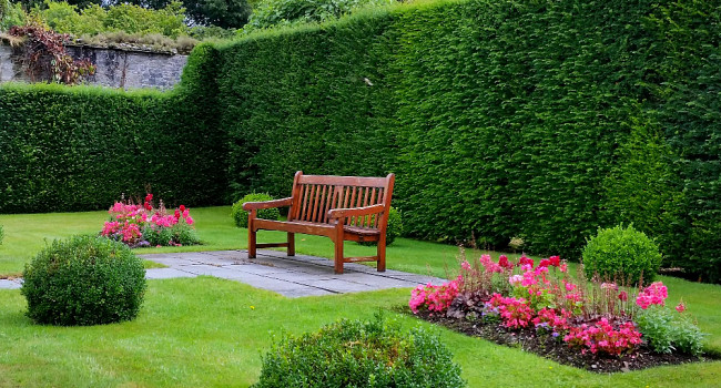 Ландшафтное проектирование Санкт-Петербург - изображение 3