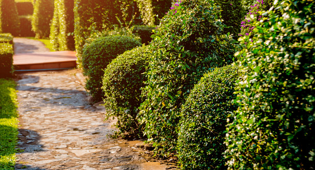 Ландшафтное проектирование Санкт-Петербург - изображение 1