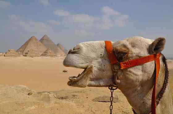 Туры в Египет Санкт-Петербург