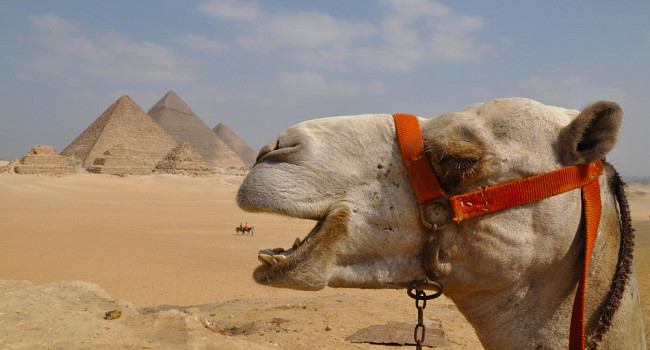 Туры в Египет Санкт-Петербург - изображение 4