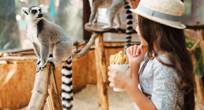 Посещение «Экзоопарка» Санкт-Петербург - изображение 2