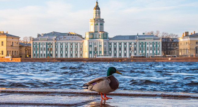 Автобусная экскурсии по Петербургу Санкт-Петербург - изображение 7