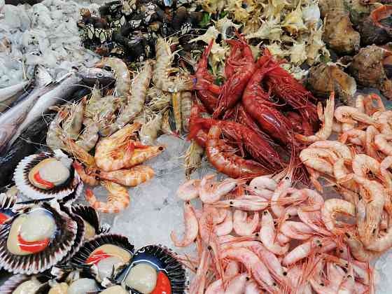 Сервис доставки морепродуктов Санкт-Петербург