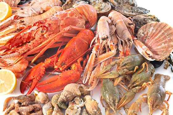 Сервис доставки морепродуктов Санкт-Петербург