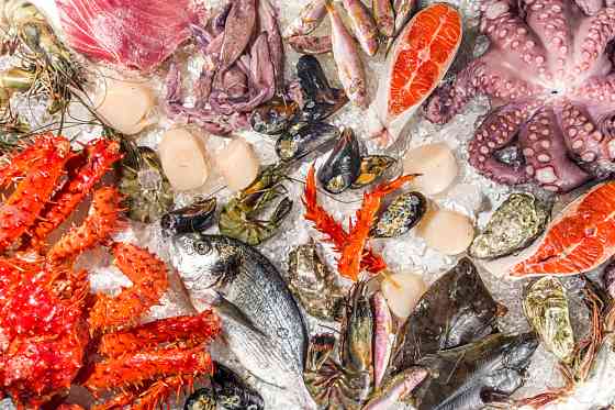 Сервис доставки морепродуктов Санкт-Петербург