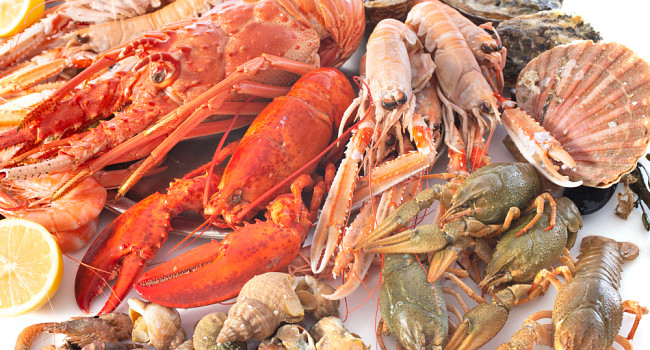 Сервис доставки морепродуктов Санкт-Петербург - изображение 1