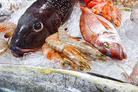 Сервис доставки морепродуктов Санкт-Петербург